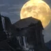 Full Moon Night Live Wallpaper