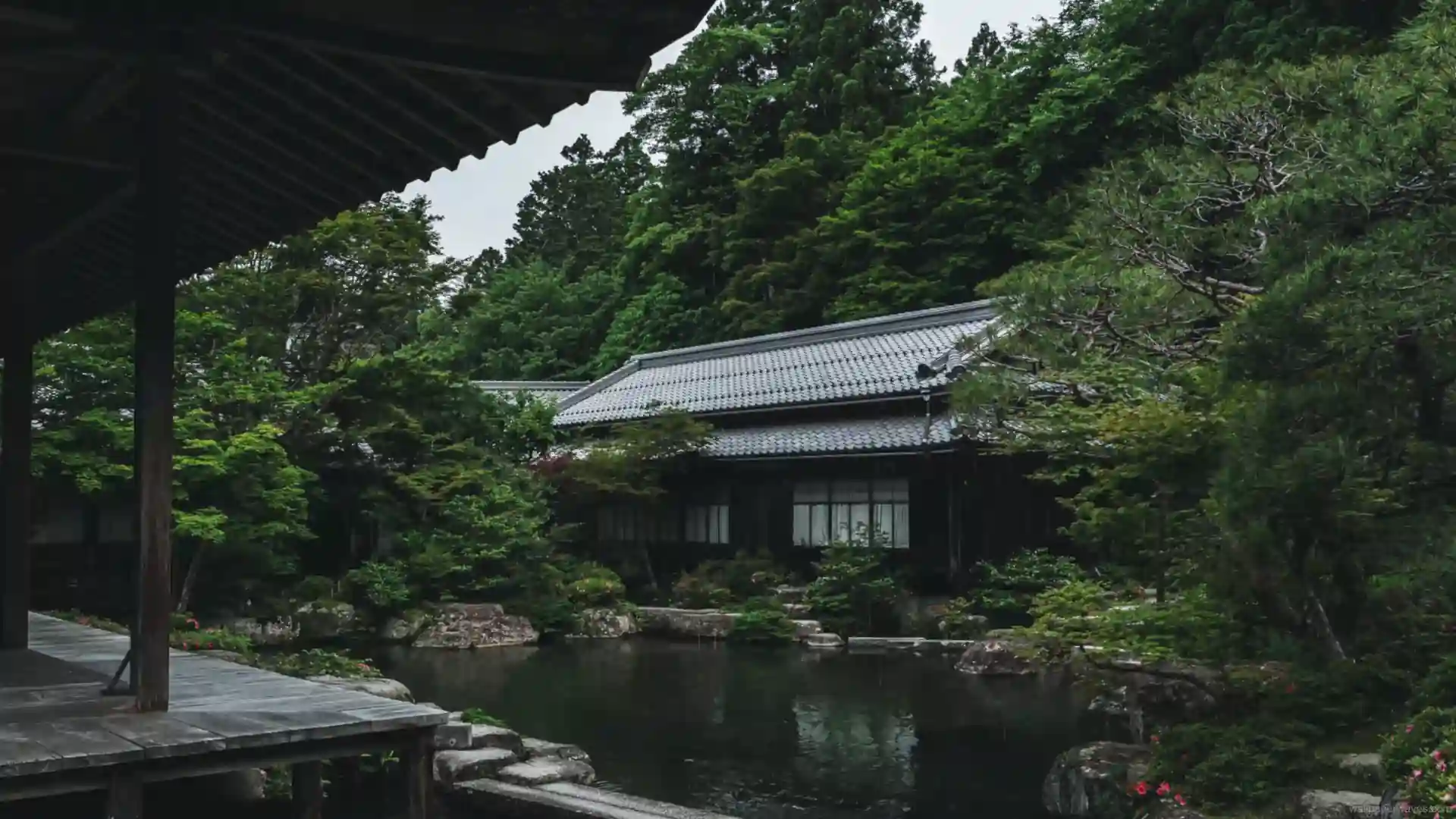 Heritage house surrounded by lush greenery under gentle rain with glowing windows and swaying trees, live wallpaper