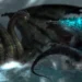 Godzilla and King Ghidorah face off in a cinematic storm scene – epic kaiju battle wallpaper