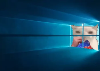 Meme cat eating chips through a glowing Windows logo with a humorous and absurd expression in animated style – wallpaper.