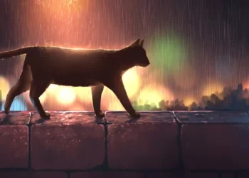 Silhouette of a lonely cat sitting under a streetlight in the rain at night with wet pavement reflections in a moody live wallpaper