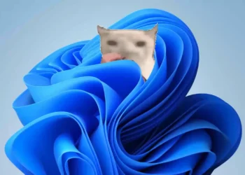 Funny meme cat sitting in a retro Windows-style desktop interface with bright pixel colors in a nostalgic live wallpaper