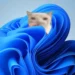 Funny meme cat sitting in a retro Windows-style desktop interface with bright pixel colors in a nostalgic live wallpaper