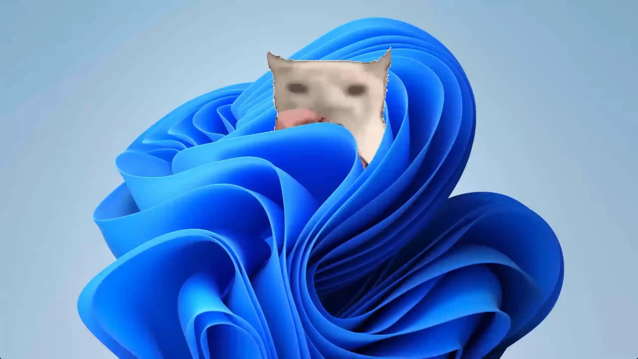 Funny meme cat sitting in a retro Windows-style desktop interface with bright pixel colors in a nostalgic live wallpaper