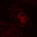 Ghost from Modern Warfare glowing in red shadows inside a dark cabin, wearing his skull mask and tactical gear live wallpaper