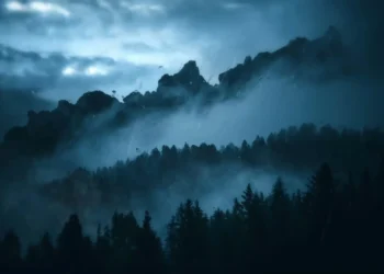 dark misty mountain forest landscape with pine trees and fog drifting across valley during rainy storm, dramatic blue atmospheric lighting with cinematic nature scenery live wallpaper