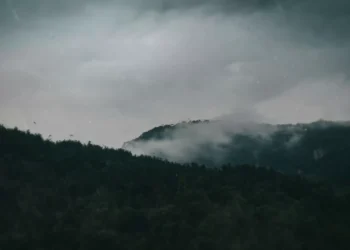 rainy mountain forest mist fog landscape nature calm aesthetic dark moody wallpaper