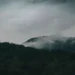 Rainy Mountain Mist Forest Live Wallpaper 10 rainy mountain forest mist fog landscape nature calm aesthetic dark moody wallpaper