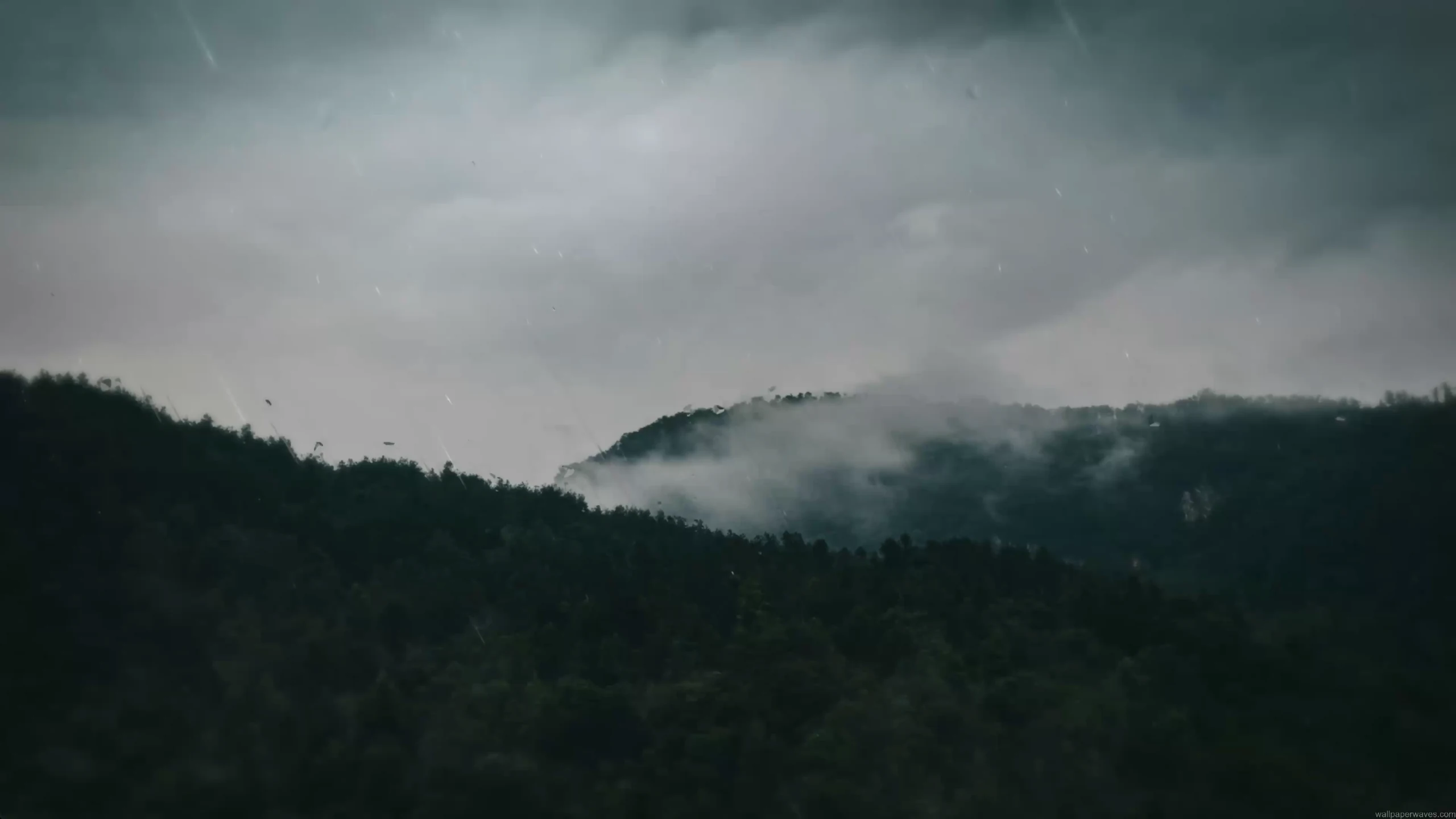 rainy mountain forest mist fog landscape nature calm aesthetic dark moody wallpaper