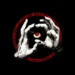 Forbidden Eye Symbol Live Wallpaper 10 Dark forbidden eye symbol with skeletal hands and glowing red occult circle minimalist wallpaper