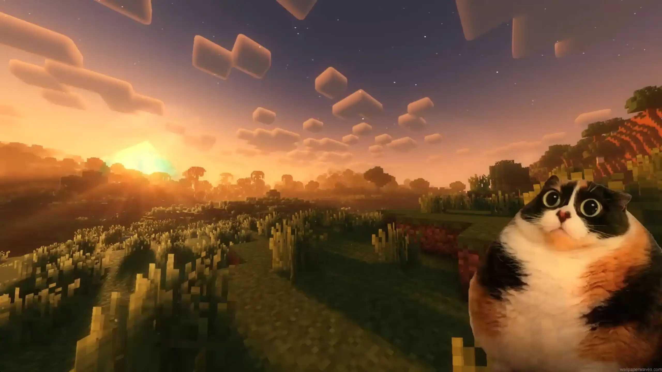 Cute chubby cat watching a glowing Minecraft sunset landscape with peaceful pixelated scenery and cozy gaming atmosphere wallpaper