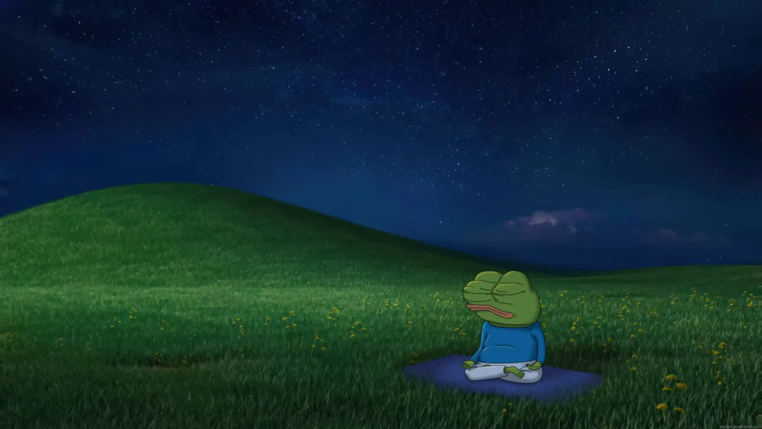 Pepe the Frog meditating peacefully in a grassy field under a starry night sky aesthetic wallpaper