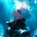 Satoru Gojo underwater surrounded by glowing blue water and light rays from Jujutsu Kaisen anime wallpaper