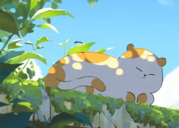 Chubby Orange and White Cat Live Wallpaper 3 Chubby orange and white cat peacefully napping on a moss-covered stone wall under a sunny blue sky live wallpaper.