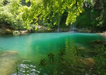 Crystal Clear Forest Lagoon Live Wallpaper 2 Crystal clear forest lagoon with emerald water, cascading waterfalls, and lush green trees live wallpaper.