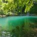 Crystal clear forest lagoon with emerald water, cascading waterfalls, and lush green trees live wallpaper.