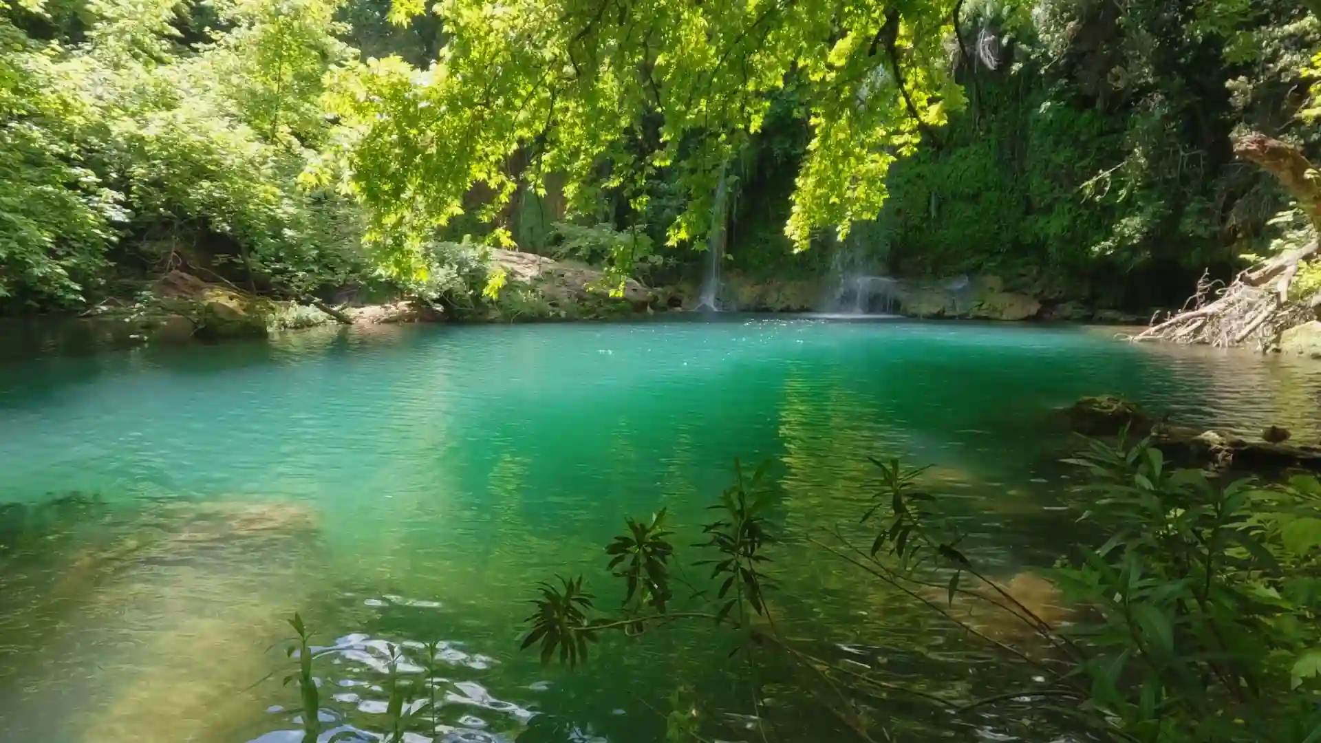 Crystal clear forest lagoon with emerald water, cascading waterfalls, and lush green trees live wallpaper.