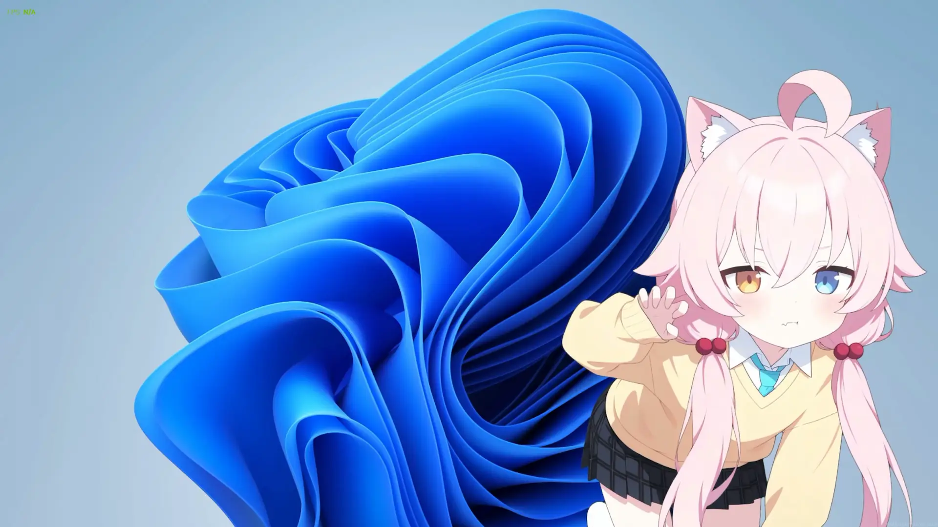 Chibi Hoshino from Blue Archive beside the Windows 11 blue bloom wallpaper with adorable cat ears and mismatched eyes.