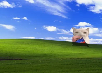 Snack Cat Windows XP Live Wallpaper 1 Funny snack cat eating chips on the classic Windows XP Bliss hill under a bright blue sky live wallpaper.