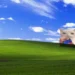 Snack Cat Windows XP Live Wallpaper 10 Funny snack cat eating chips on the classic Windows XP Bliss hill under a bright blue sky live wallpaper.