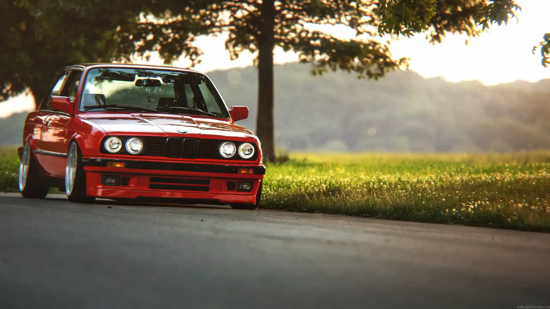 Lowered red BMW E30 with deep-dish wheels parked beside a tree during golden hour live wallpaper.