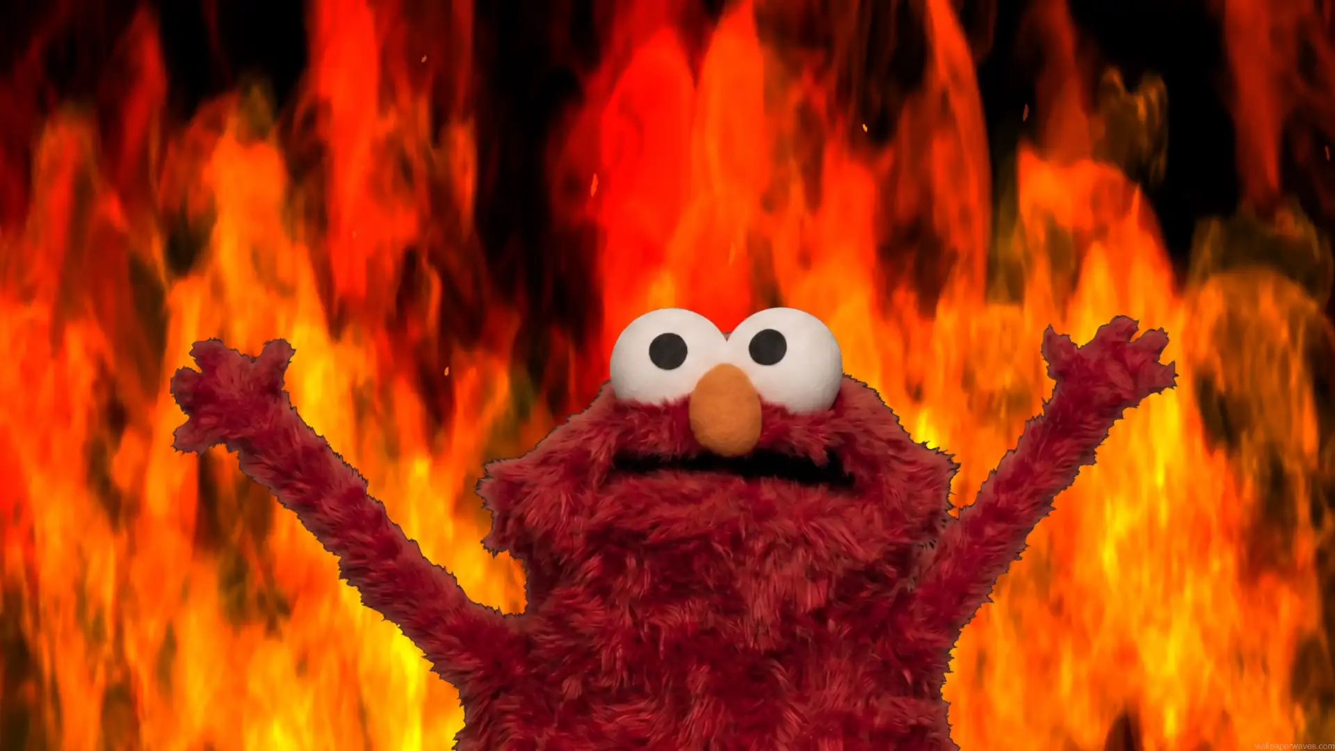 Elmo raising both arms in front of a blazing orange and red fire background meme wallpaper.