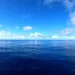 Peaceful blue ocean stretching beneath a bright sky with soft white clouds live wallpaper