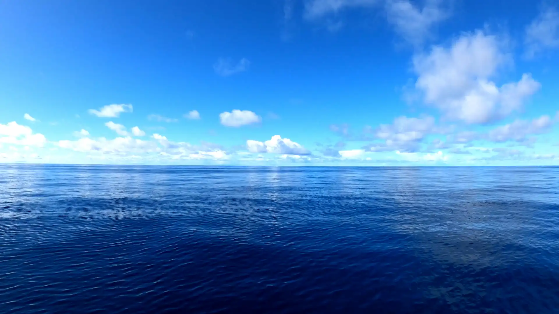 Peaceful blue ocean stretching beneath a bright sky with soft white clouds live wallpaper