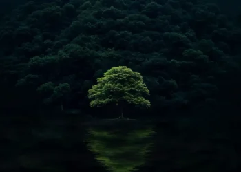 Solitary glowing tree reflected in a calm lake surrounded by a dark forest at night live wallpaper.