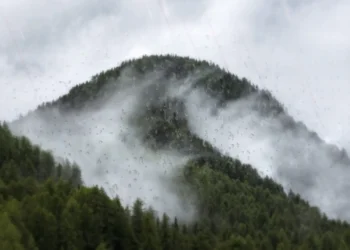 Misty Mountain Rain Live Wallpaper 1 Misty green forest mountains covered in drifting fog and falling rain under a cloudy sky live wallpaper
