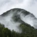 Misty green forest mountains covered in drifting fog and falling rain under a cloudy sky live wallpaper