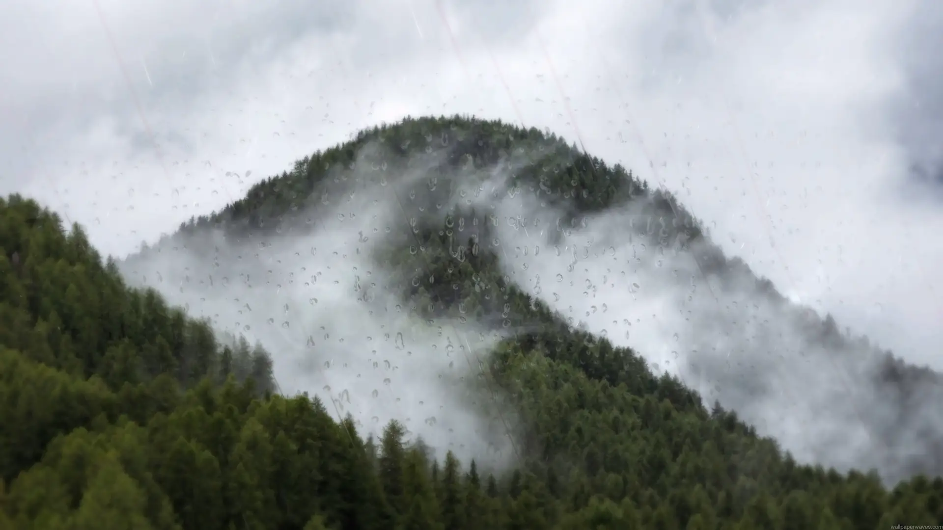 Misty green forest mountains covered in drifting fog and falling rain under a cloudy sky live wallpaper
