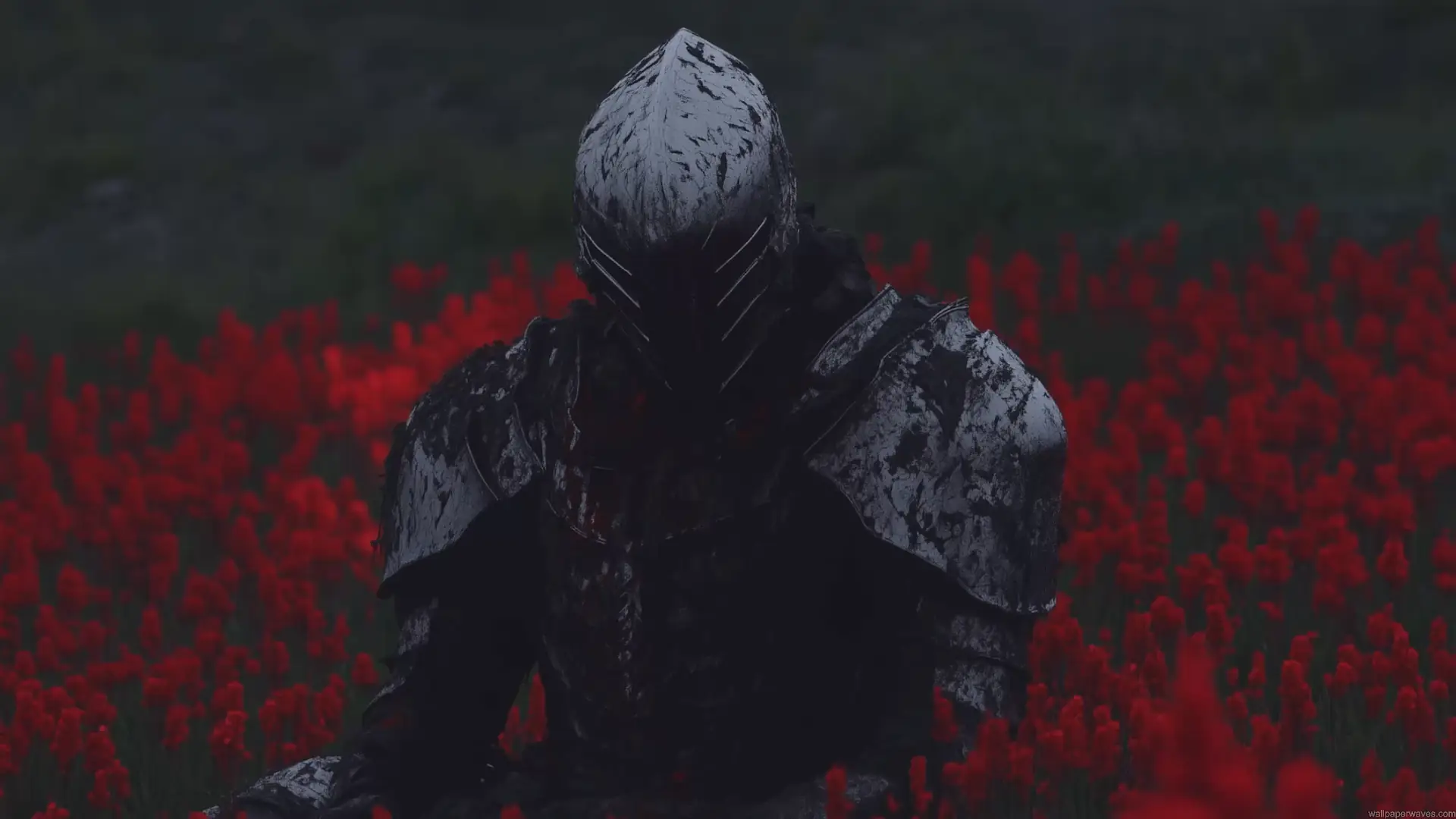 Mysterious medieval knight wearing weathered black steel armor and a closed helmet sitting among vibrant red flowers in a dark, moody fantasy landscape in a QHD 2K live wallpaper.