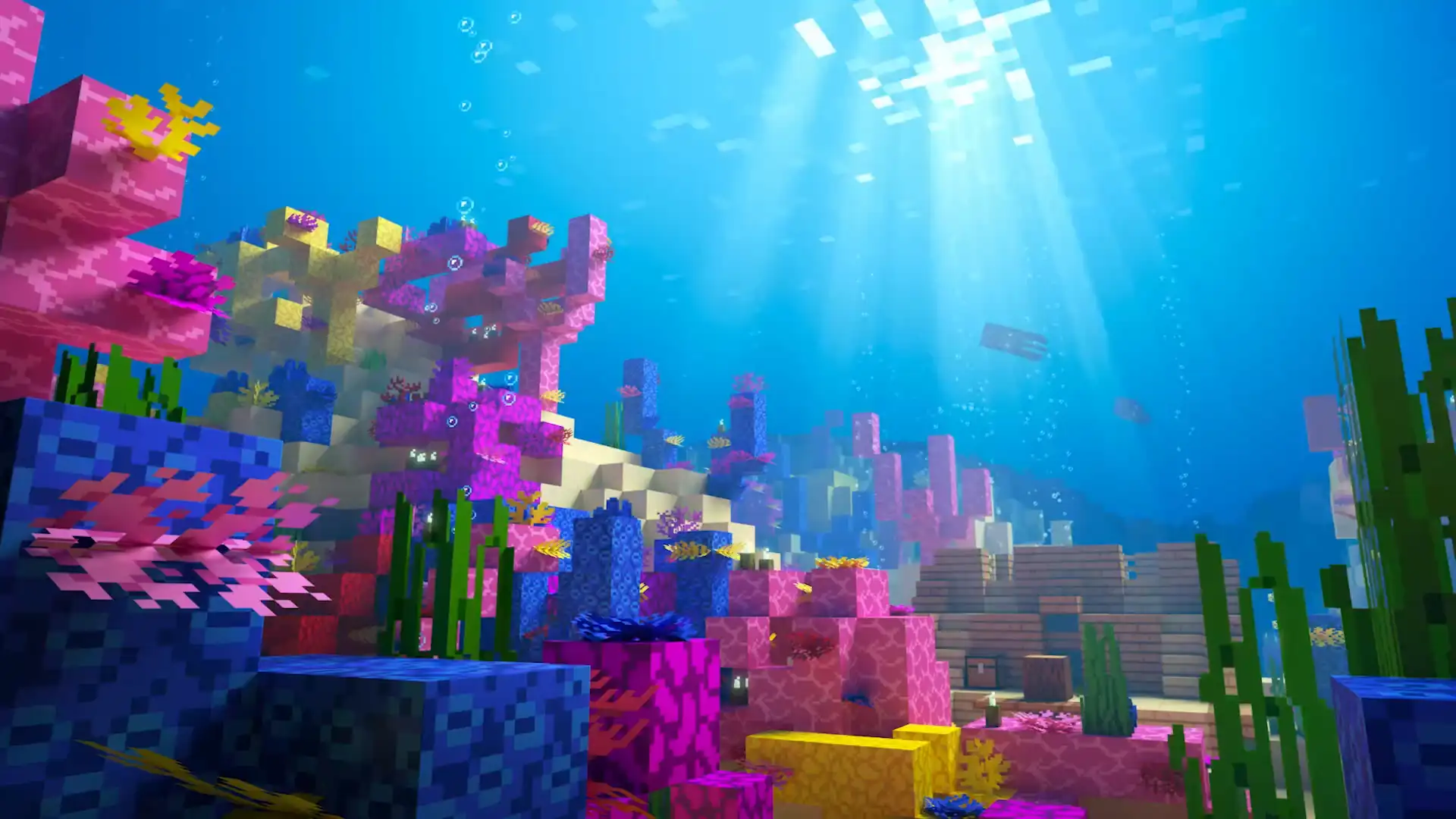 Minecraft underwater coral reef featuring vibrant pink, purple, blue, and yellow coral blocks, green seagrass, rising bubbles, and bright sunlight shining through clear tropical ocean water in a colorful Minecraft live wallpaper