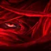 Muzan Kibutsuji Red Eye Demon Slayer Live Wallpaper 10 Muzan Kibutsuji from Demon Slayer revealing a glowing crimson red eye through twisted dark red flesh-like tendrils in a sinister anime live wallpaper.