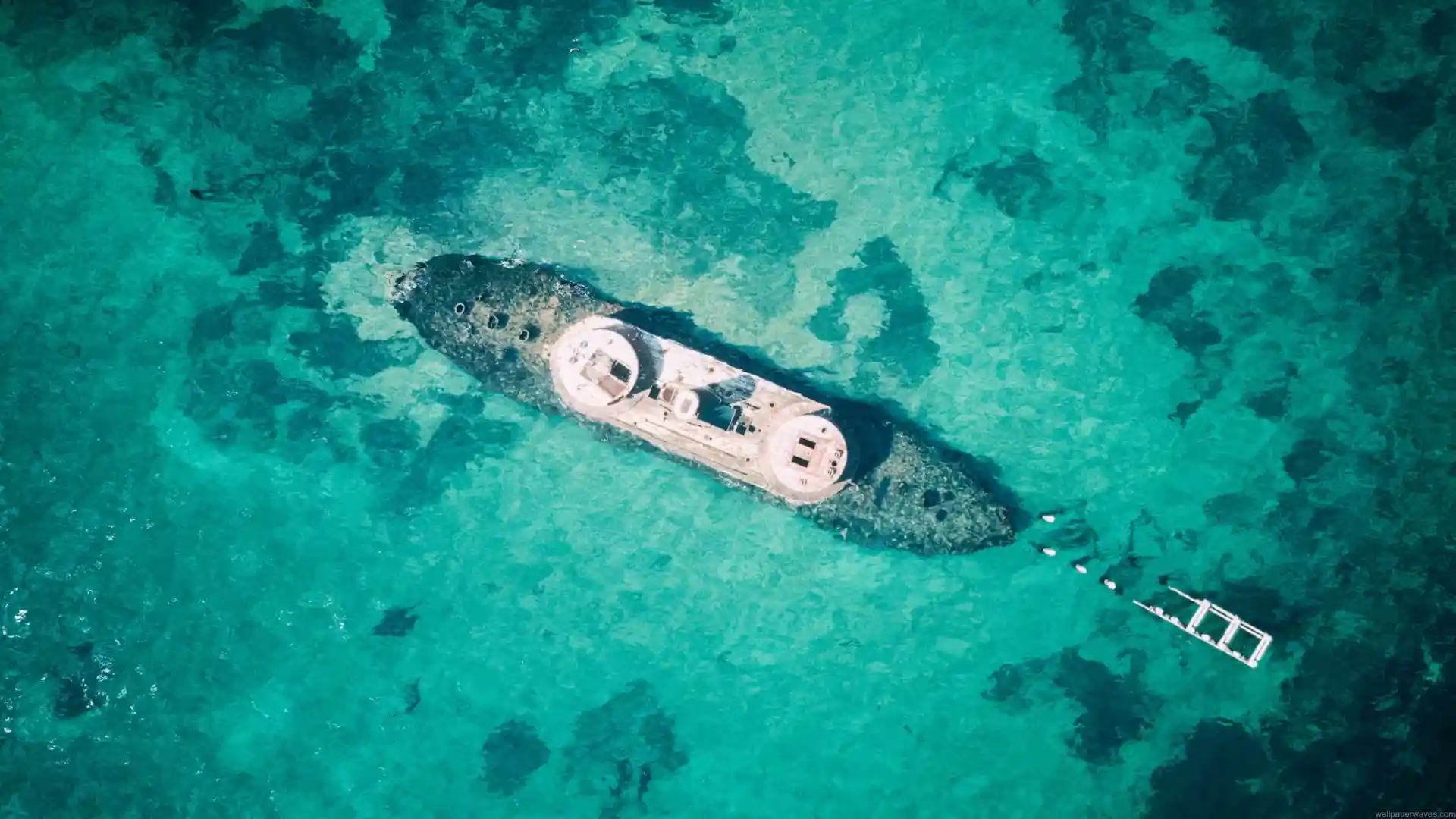 Aerial view of a sunken shipwreck beneath crystal-clear turquoise ocean water, surrounded by dark underwater reefs and vibrant tropical sea colors in a relaxing live wallpaper.