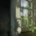 The Last of Us Abandoned Window Live Wallpaper 10 The Last of Us abandoned room with sunlight streaming through an old broken window, green vines, cracked walls, and faded curtains in a post-apocalyptic live wallpaper.